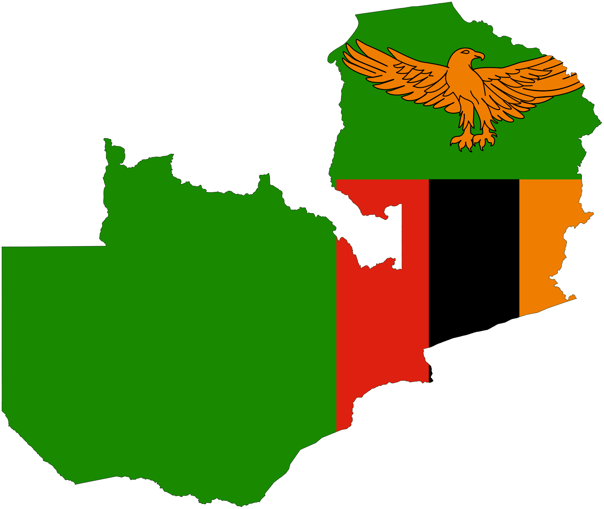 Creating high performance governmental organizations in Zambia