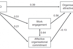 Happiness at work - HPO Model